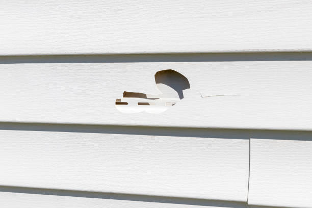 Best Custom Trim and Detailing for Siding  in Pughtown, PA