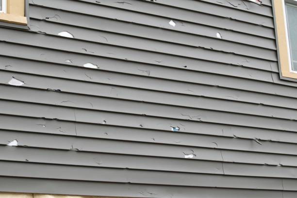 Best Siding Maintenance  in Pughtown, PA